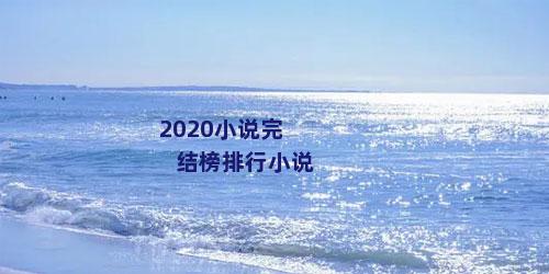 2020小说完结榜排行小说