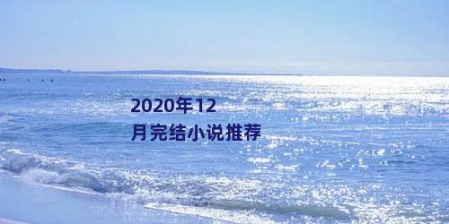 2020年12月完结小说推荐