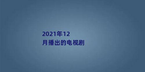 2021年12月播出的电视剧