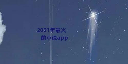 2021年最火的小说app