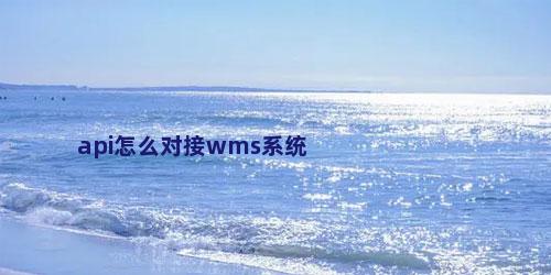 api怎么对接wms系统