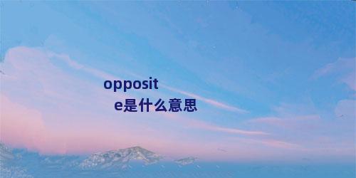 opposite是什么意思