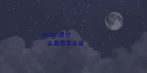 point是什么意思怎么读