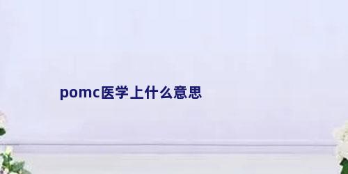 pomc医学上什么意思