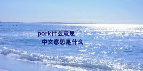 pork什么意思中文意思是什么