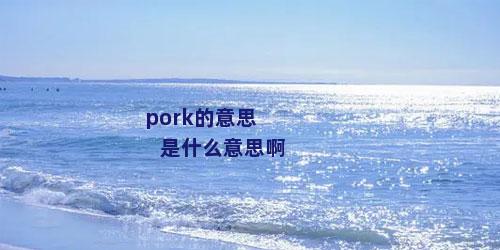 pork的意思是什么意思啊