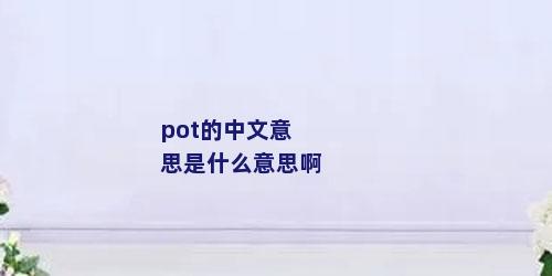 pot的中文意思是什么意思啊