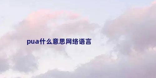 pua什么意思网络语言