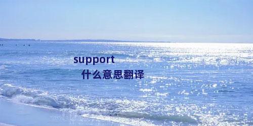 support什么意思翻译