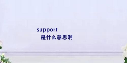 support是什么意思啊