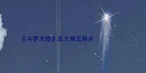 《斗罗大陆》五大神王照片