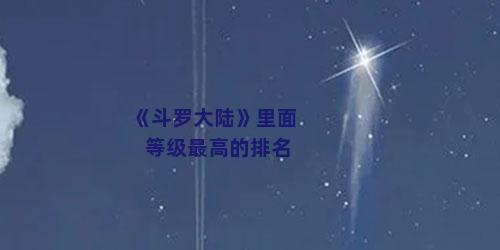 《斗罗大陆》里面等级最高的排名