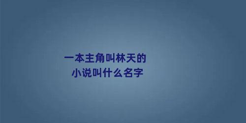 一本主角叫林天的小说叫什么名字