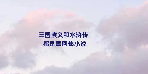 三国演义和水浒传都是章回体小说