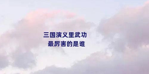 三国演义里武功最厉害的是谁