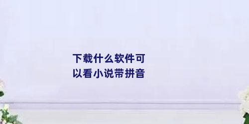 下载什么软件可以看小说带拼音