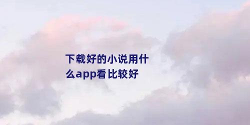 下载好的小说用什么app看比较好