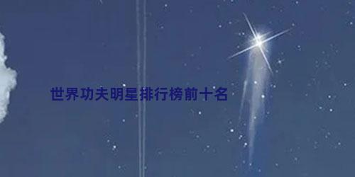 世界功夫明星排行榜前十名