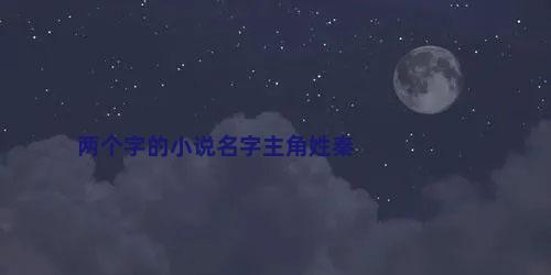 两个字的小说名字主角姓秦