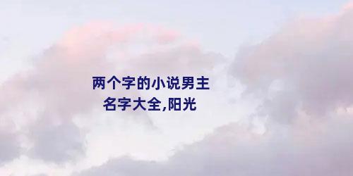 两个字的小说男主名字大全,阳光