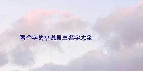 两个字的小说男主名字大全