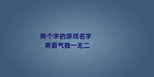 两个字的游戏名字男霸气独一无二