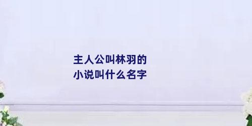 主人公叫林羽的小说叫什么名字