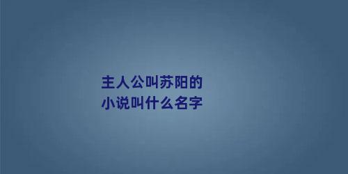 主人公叫苏阳的小说叫什么名字