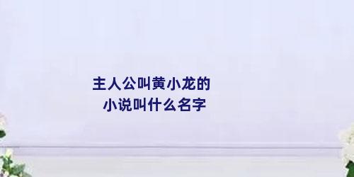 主人公叫黄小龙的小说叫什么名字