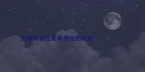 主角低调在武林修仙的小说