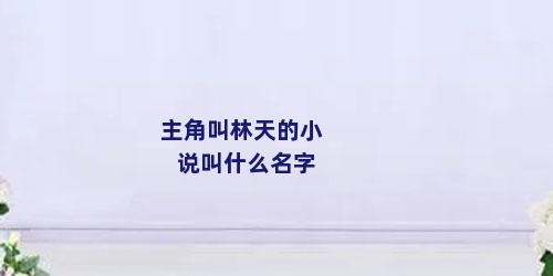 主角叫林天的小说叫什么名字