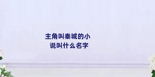 主角叫秦城的小说叫什么名字