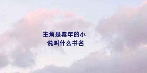 主角是秦年的小说叫什么书名