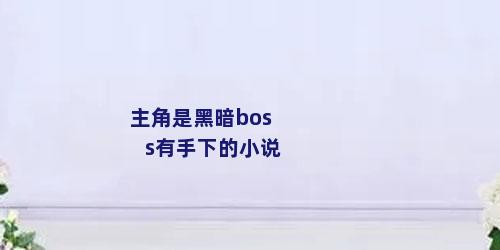 主角是黑暗boss有手下的小说