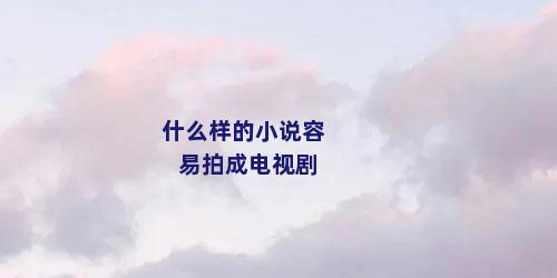 什么样的小说容易拍成电视剧