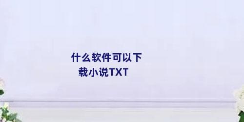 什么软件可以下载小说TXT