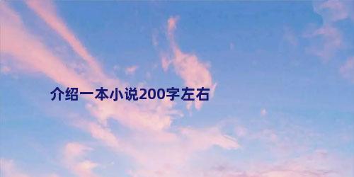 介绍一本小说200字左右