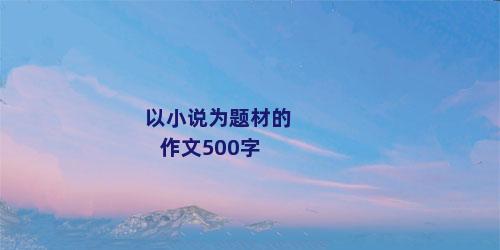 以小说为题材的作文500字