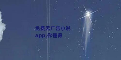 免费无广告小说app,你懂得