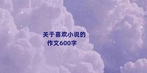 关于喜欢小说的作文600字