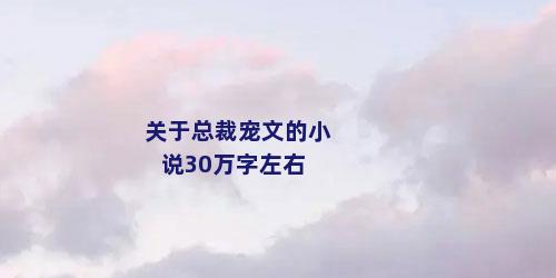 关于总裁宠文的小说30万字左右