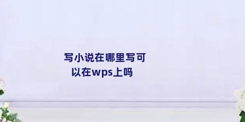 写小说在哪里写可以在wps上吗