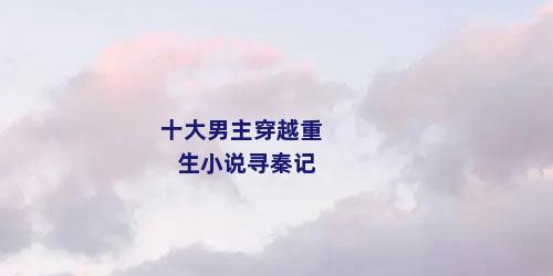 十大男主穿越重生小说寻秦记