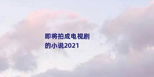 即将拍成电视剧的小说2021