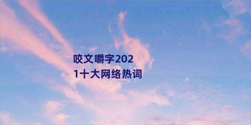 咬文嚼字2021十大网络热词