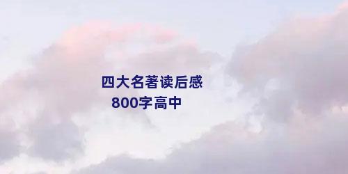 四大名著读后感800字高中