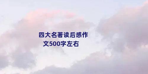 四大名著读后感作文500字左右