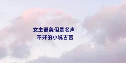 女主很美但是名声不好的小说古言