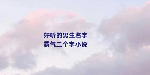 好听的男生名字霸气二个字小说