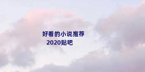 好看的小说推荐2020贴吧